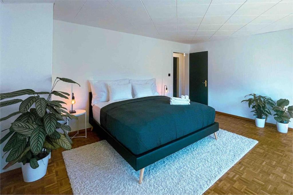 -The Urbanist- Mountainview Parking Garden 3Bd Villa Unterseen Kültér fotó
